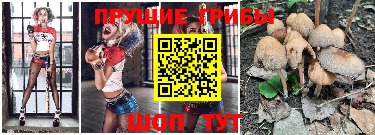 Галлюциногенные грибы мухоморы Черкесск
